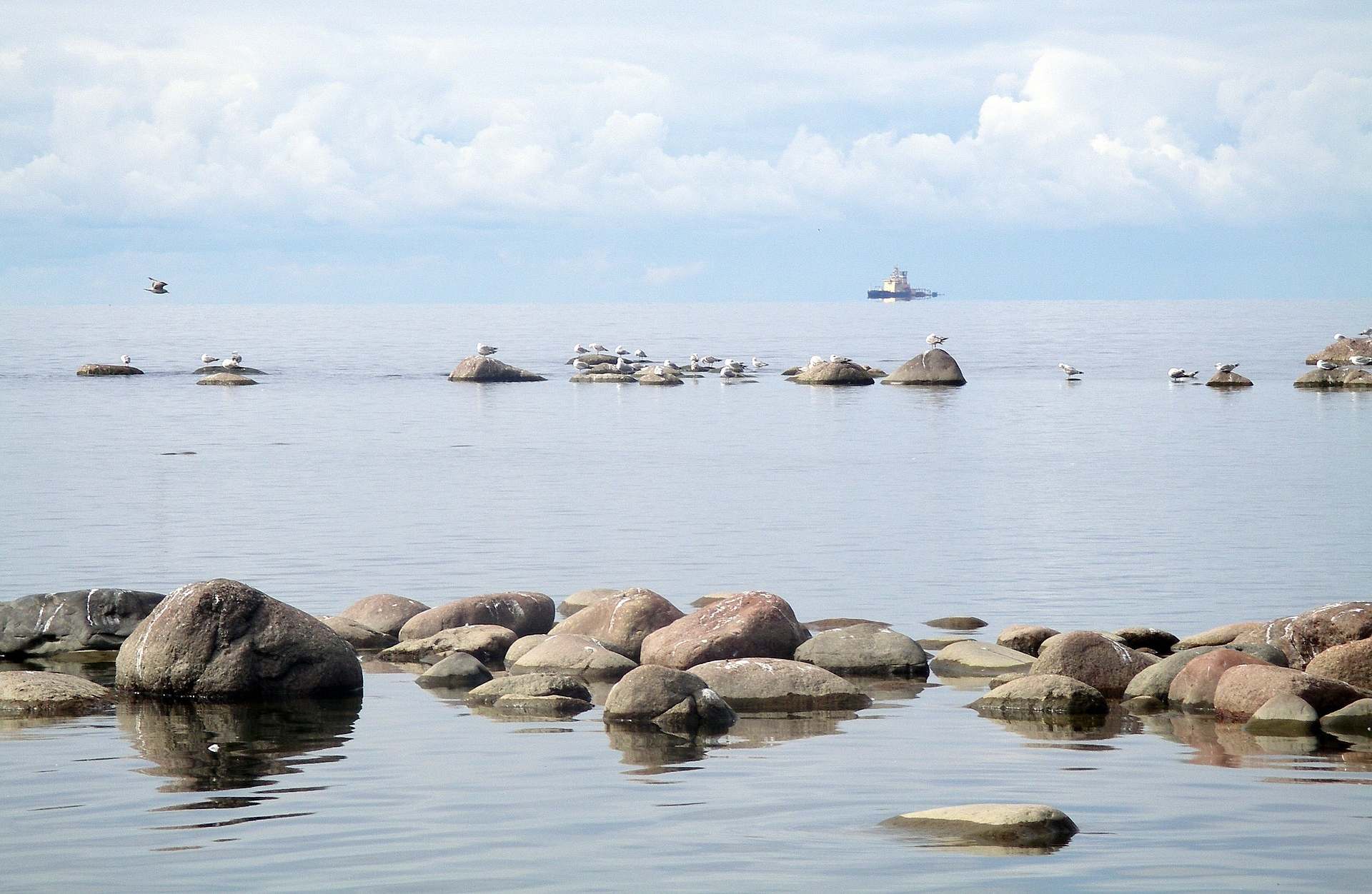 Побережье Финского залива